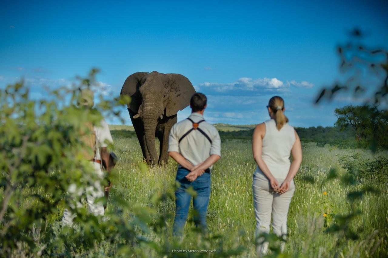 Anderssons At Ongava Villa Okaukuejo Dış mekan fotoğraf