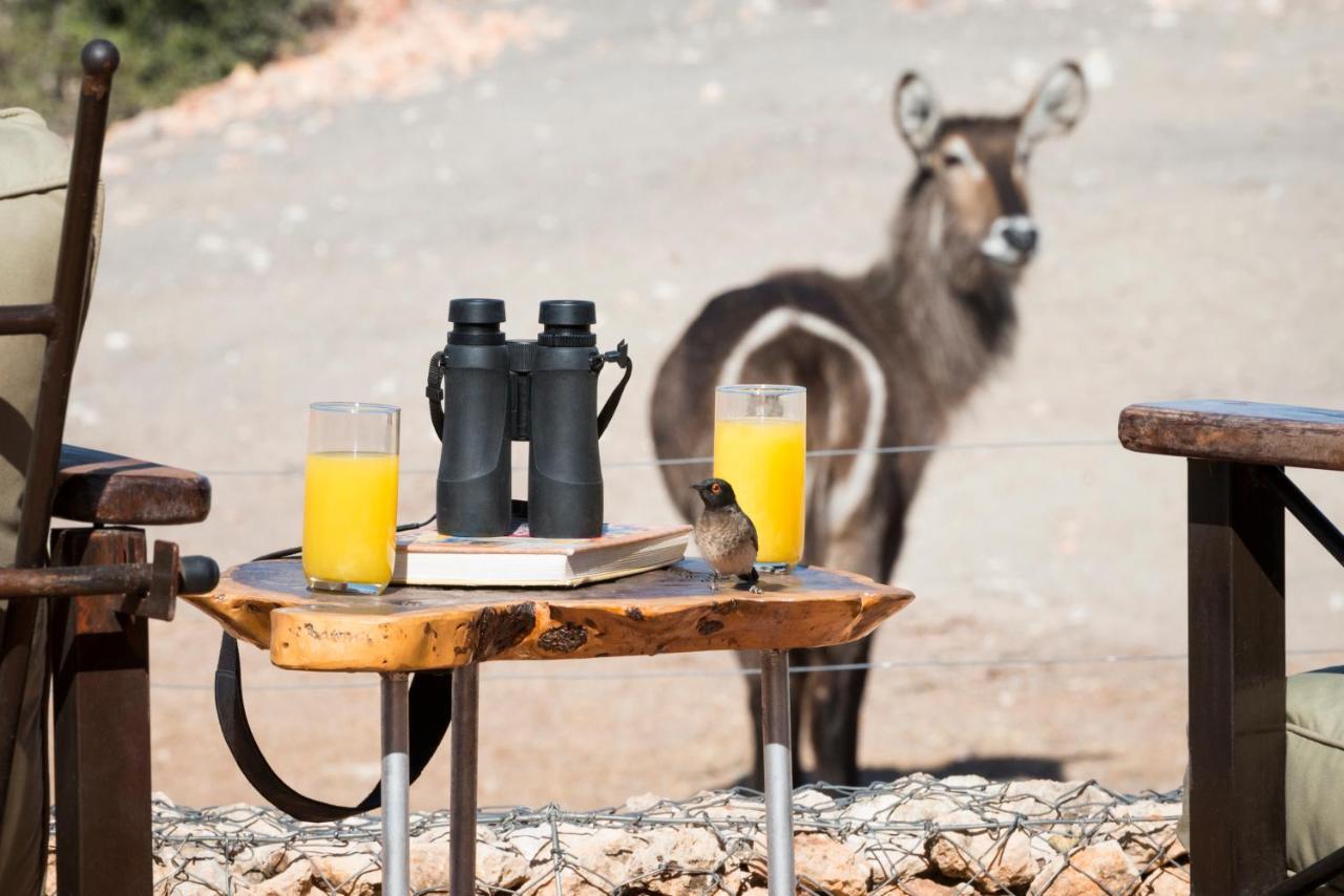 Anderssons At Ongava Villa Okaukuejo Dış mekan fotoğraf