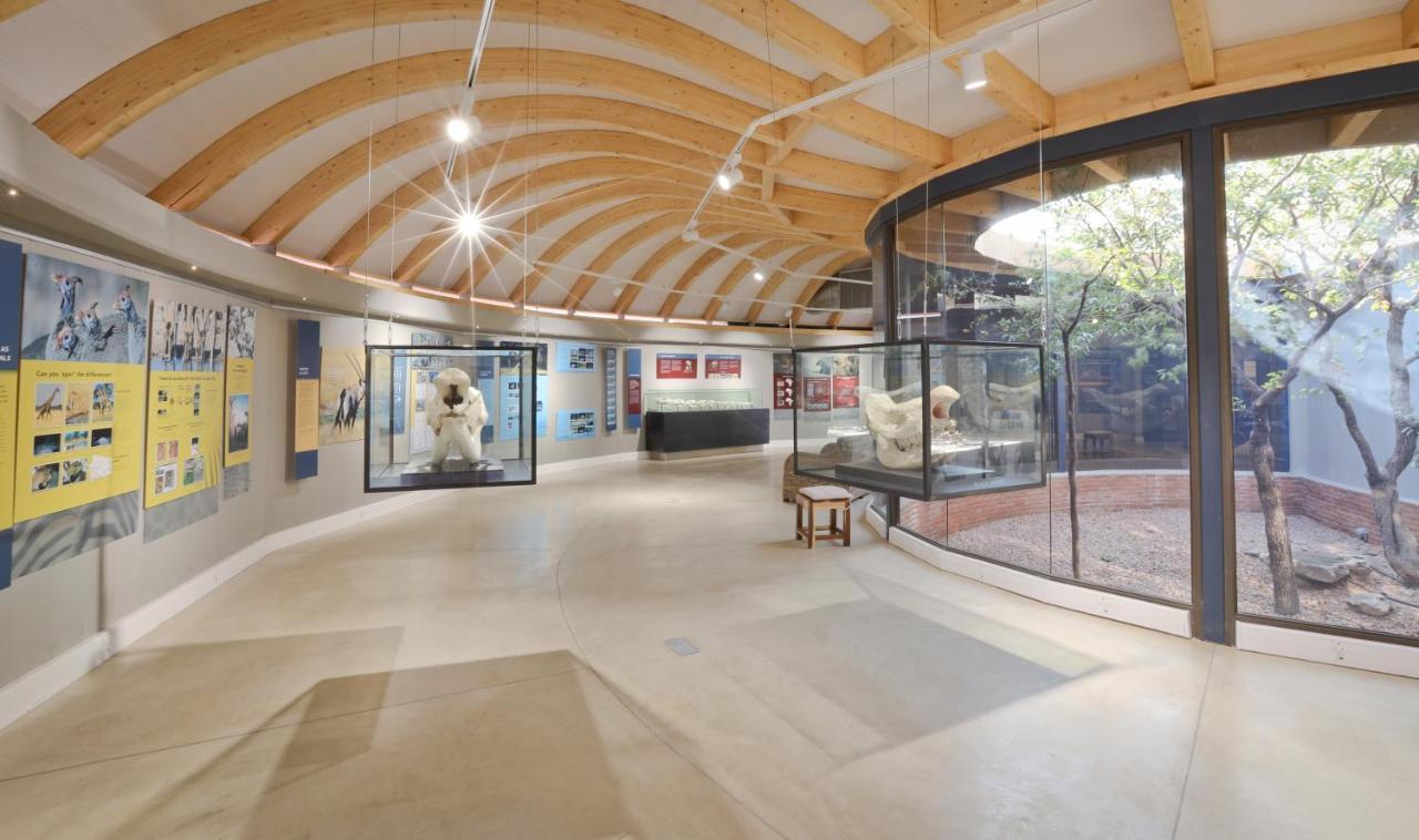 Anderssons At Ongava Villa Okaukuejo Dış mekan fotoğraf