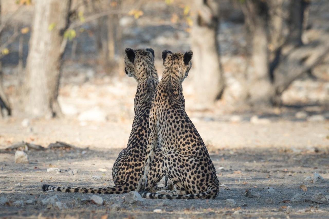 Anderssons At Ongava Villa Okaukuejo Dış mekan fotoğraf
